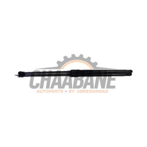 Kit amortisseur gaz hayon 5FA827550B Seat Leon 2019
