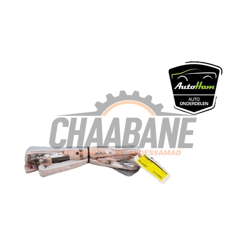 Airbag de toit gauche 5JA880741D Seat Toledo (NHAA) 1.6 TDI 16V 115 2012 / 2019