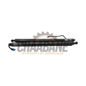 Verin de coffre 51249482789 BMW X4 (G02) M40i 3.0 TwinPower Turbo 24V Mild Hybrid 2018