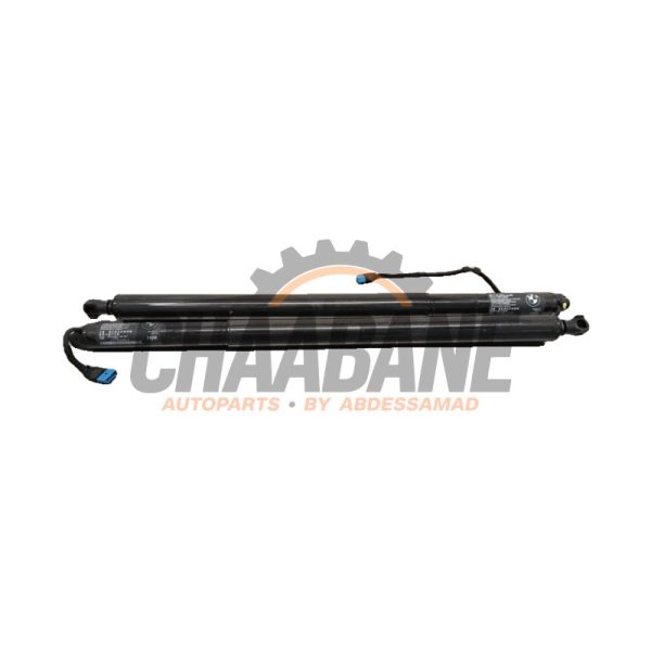 Verin de coffre 51249482789 BMW X4 (G02) M40i 3.0 TwinPower Turbo 24V Mild Hybrid 2018