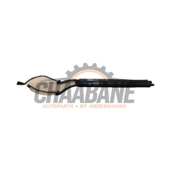 Kit amortisseur gaz hayon 7294469 BMW X5 (F15) xDrive 40d 3.0 24V 2013 / 2018