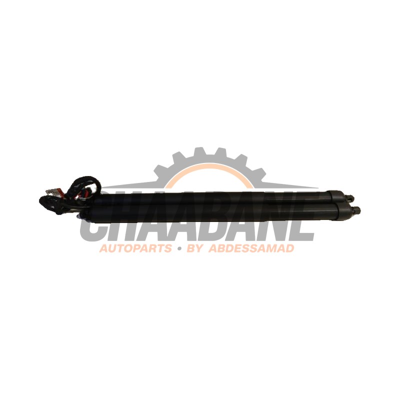 Verin de coffre K8D270354AC Landrover Range Rover