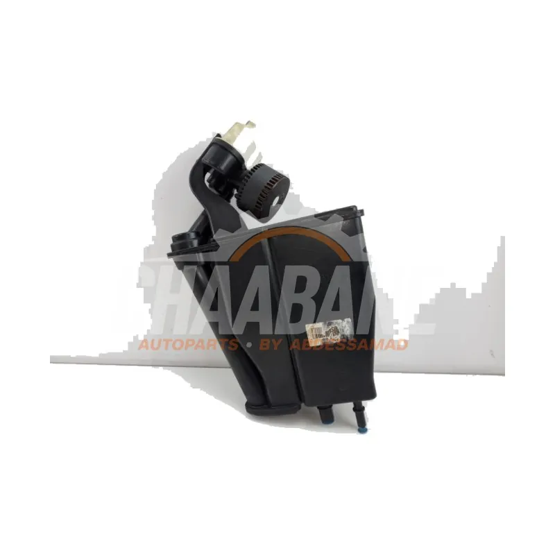 Filtre carbone M8E29E857CB Landrover Range Rover Sport (L1) 3.0 V6 P460e