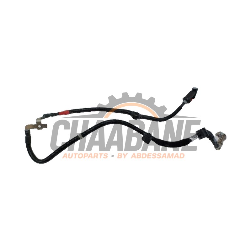 Borne de batterie 12427953074 BMW 2 serie Active Tourer (U06) 218i 1.5 TwinPower Turbo 12V 2021