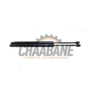 Verin de coffre 5124730079108 BMW 2-Serie 2013 / 2021