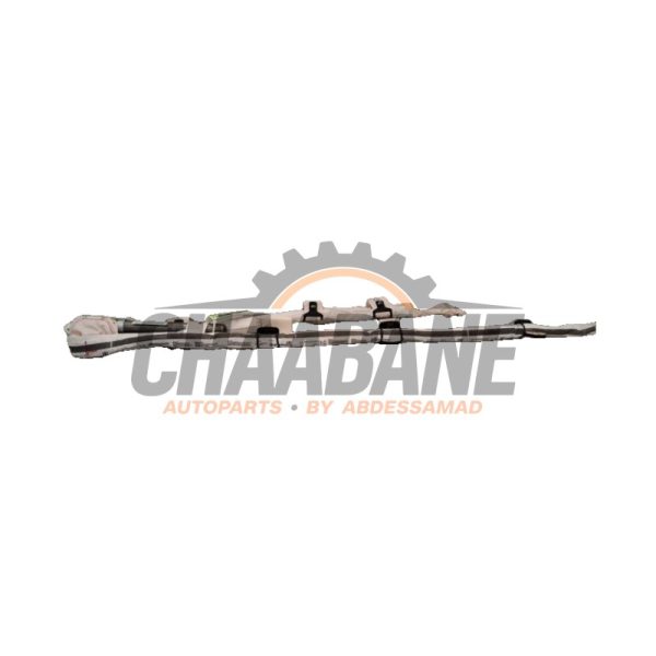 Airbag de toit gauche 4KE880741E Audi E-tron Sportback (GEA) 2019