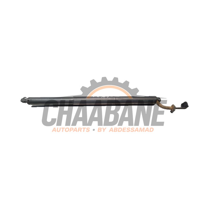 Hayon moteur 51247350837 BMW X1 (F48) xDrive 18d 2.0 16V 2014 / 2022