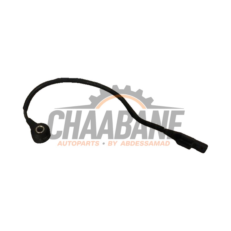 Capteur de cliquetis 06K905377 Volkswagen E-Golf 2012 / 2021