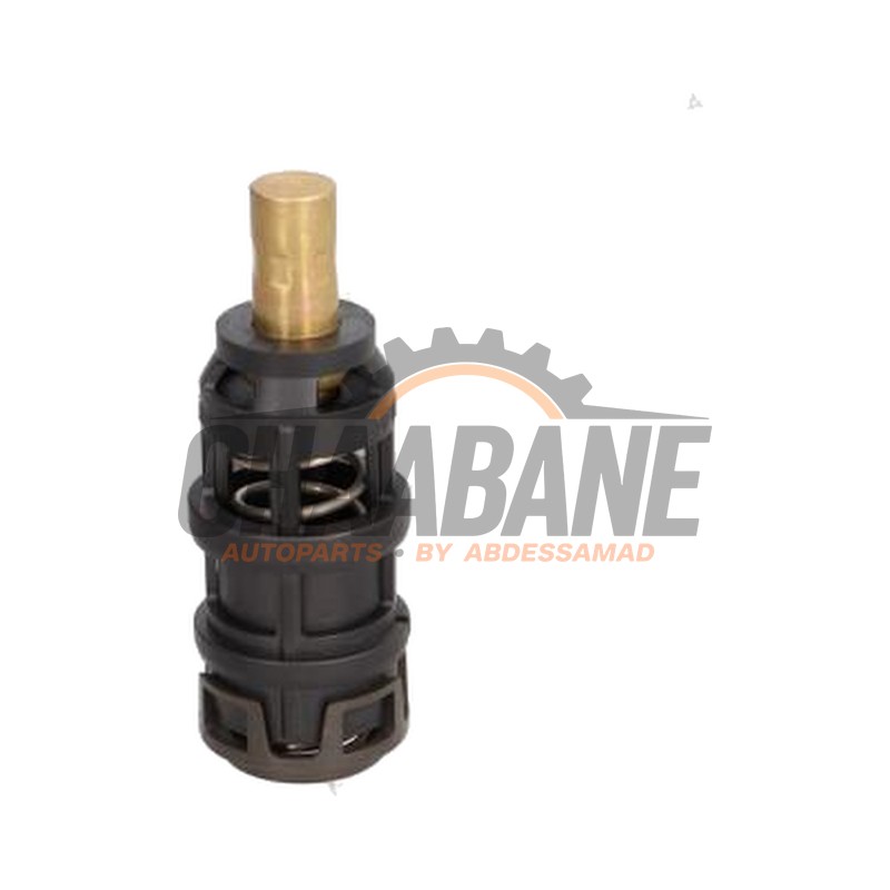Thermostat 06M115201F Audi RS 4 Avant (B9) 2.9 V6 TFSI 24V 2017