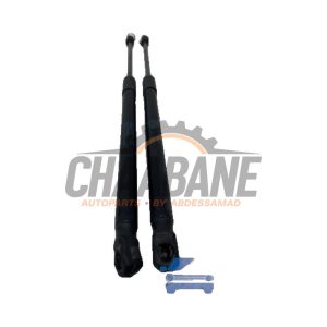 Kit amortisseur gaz hayon 5F4827550B Seat Leon (5FB) 1.6 TDI 16V 2012 / 2020