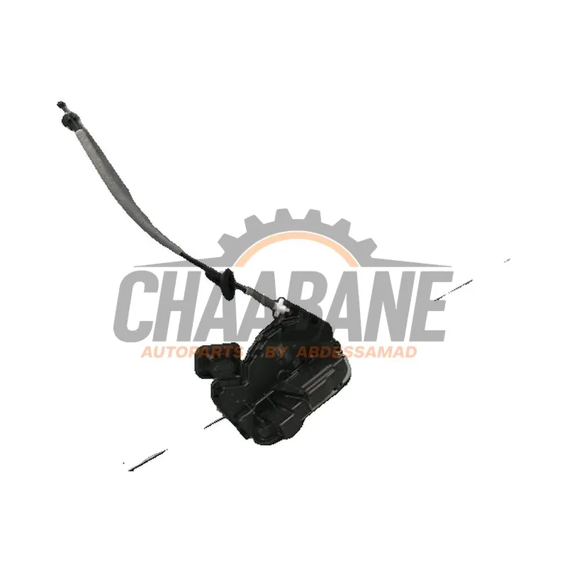 Serrure arriere droite Cupra Born 2021 5TA839016P