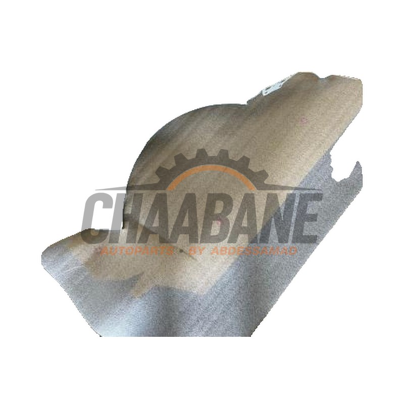 Aile avant droite 6F0821106B Seat Ibiza V (KJB) 2017