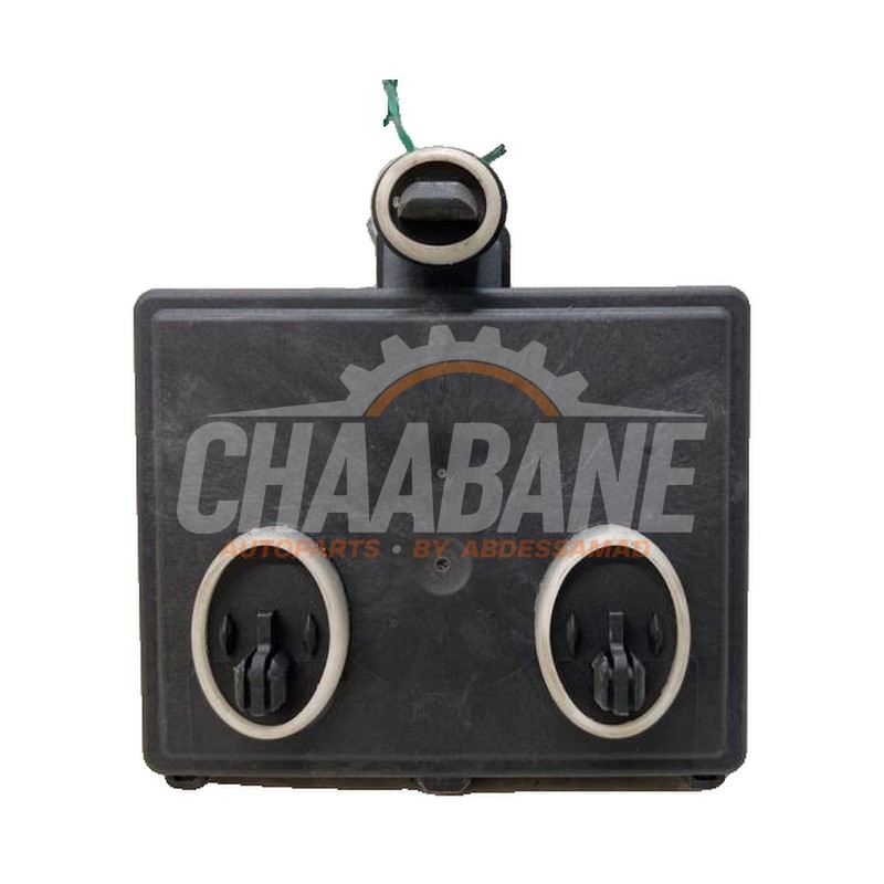 Module verrouillage central des portes 1EB959596A Audi Q4 Sportback (4FN) 40 e-tron 2021