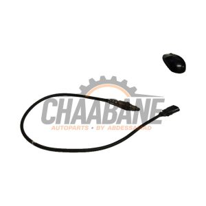 Divers 05E906262A Audi Q3 2018