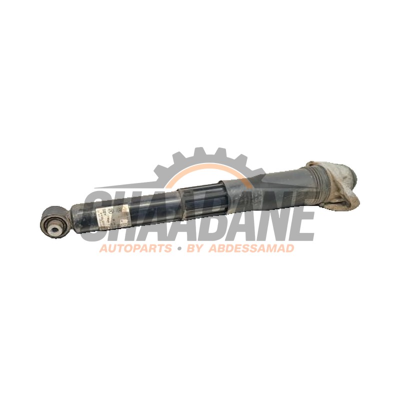 Amortisseur arriere gauche 1EA513049AH Audi Q4 (F4B) 40 e-tron 2021
