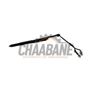 Moteur fermeture auxiliaire hayon 51247294470 BMW X5 (F15) xDrive 40e 2.0 2013 / 2018
