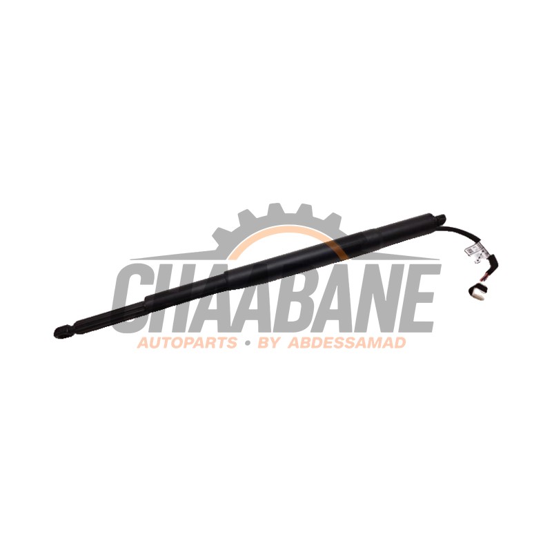 Amortisseur a gaz arriere droit 51247453413 BMW 3 serie Touring (G21) 318i 2.0 TwinPower Turbo 16V 2019