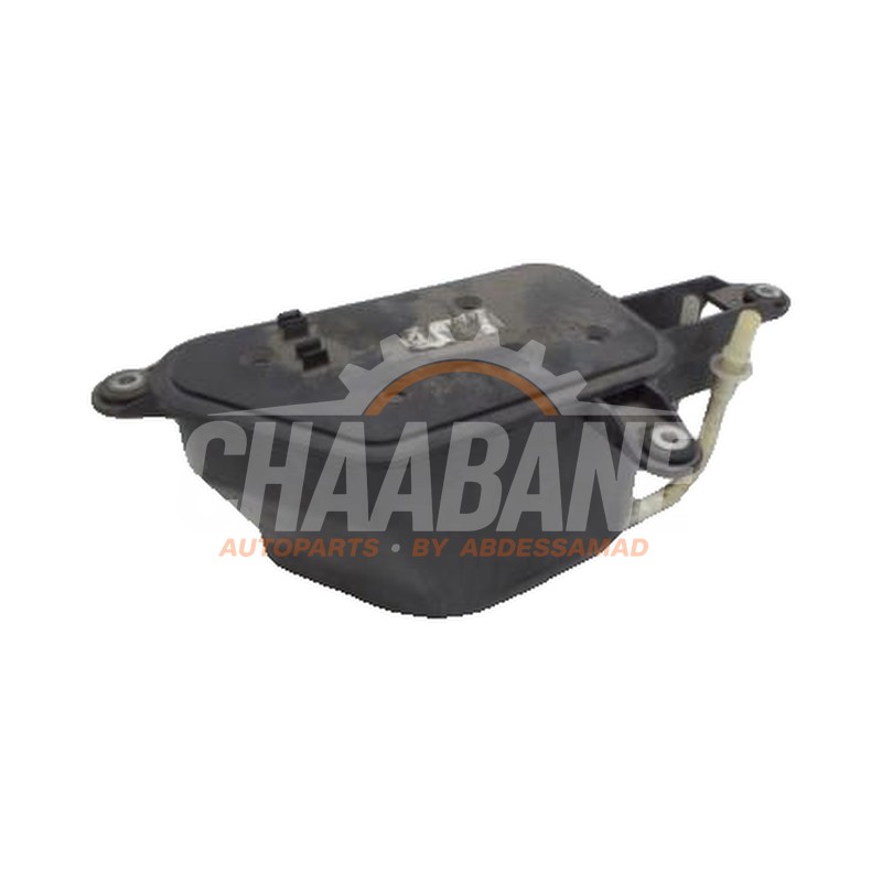 Filtre carbone 420201797 Audi R8 2015