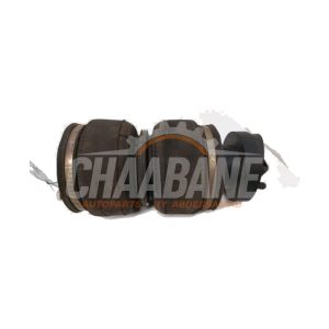 Coussin pneumatique Audi S5 (F53/F5P) 3.0 TFSI V6 24V 2016