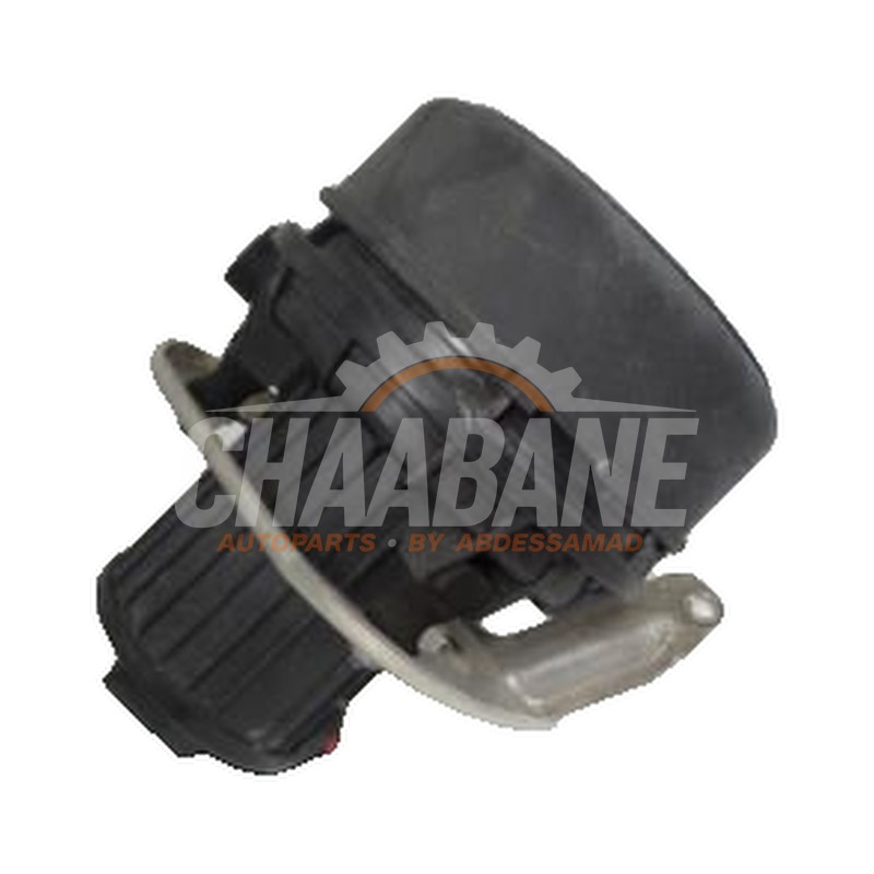 Pompe a air gaz dechappement 420906601 Audi R8 2015