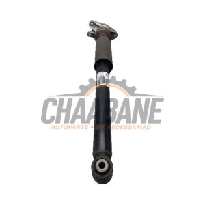 Amortisseur arriere gauche 14941510 BMW X2 (F39) sDrive 20i 1.5 12V TwinPower Turbo 2017 / 2023