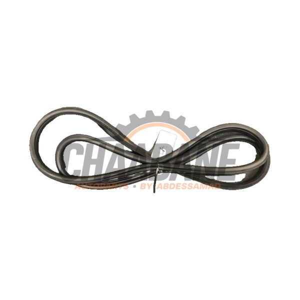 Joint caoutchouc portiere 4portes arriere gauche 00000 BMW 2 serie Gran Tourer (F46) 218d 2.0 TwinPower Turbo 16V 2014