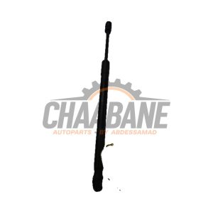 Amortisseur kit capot moteur BMW X6 2014 / 2019