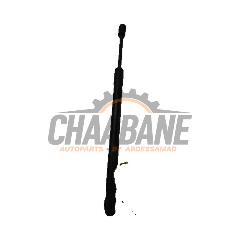 Amortisseur kit capot moteur BMW X6 2014 / 2019