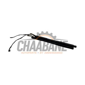Verin de coffre 726315509 BMW 3 serie Touring (F31) 316d 2.0 16V 2012 / 2019