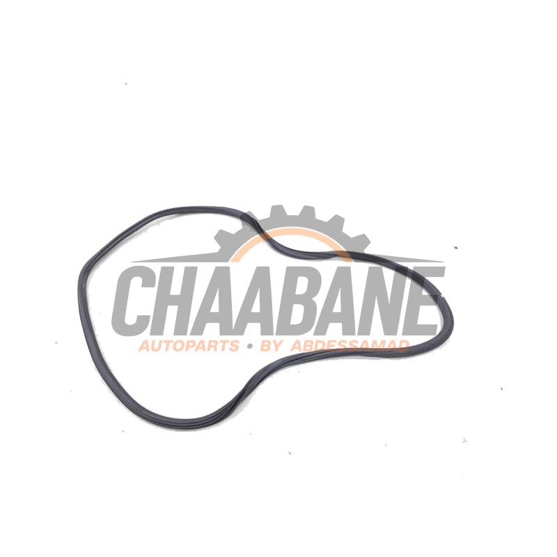 Joint caoutchouc portiere 4portes avant gauche 8W0831721C Audi A4 2015