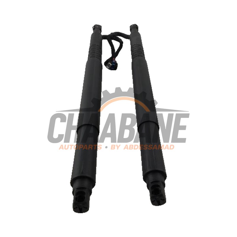 Coffre moteur 7397905 BMW 6-Serie 2017 / 2024