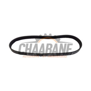 Courroie trapezoidale multiple 0P2903137A Audi RS 6 Avant (C8) 2019