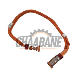 Cable haute tension 5A0C141 BMW iX (I20) xDrive40 77 kWh 2021