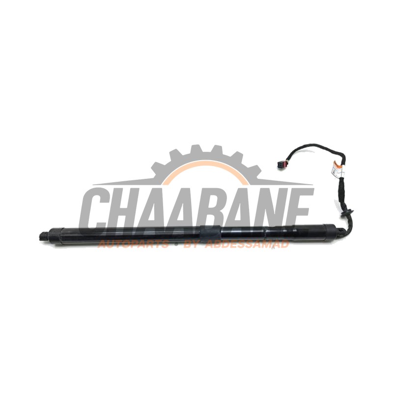 Amortisseur a gaz arriere gauche LR159595 Landrover Range Rover IV (LG) 3.0 V6 P400 MHEV HST