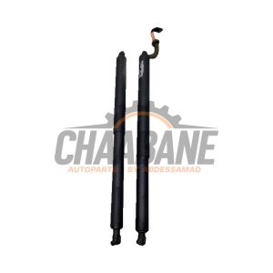 Verin de coffre 9482962 BMW X1 (F48) sDrive 20i 2.0 16V Twin Power Turbo 2014 / 2022
