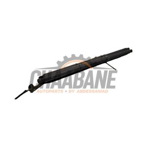 Kit amortisseur couvercle coffre A1679800564 Mercedes GLE (V167) 350de 2.0 Turbo 16V 4-Matic