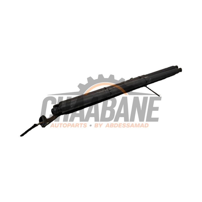 Kit amortisseur couvercle coffre A1679800564 Mercedes GLE (V167) 350de 2.0 Turbo 16V 4-Matic