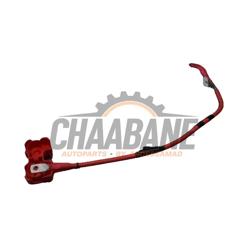 Cable (divers) JX6314300BB Jaguar XF Sportbrake 3.0 S V6 D 24V