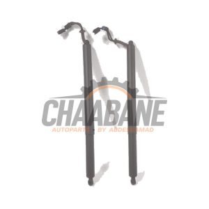 Verin de coffre 51249465654 BMW X2 (F39) sDrive 20i 1.5 12V TwinPower Turbo 2017 / 2023