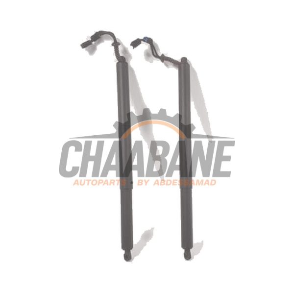 Kit amortisseur couvercle coffre 51249465654 BMW X2 (F39) 2017 / 2023