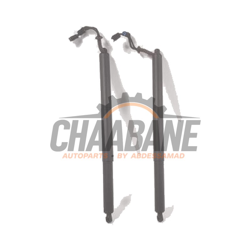 Verin de coffre 51249465654 BMW X2 (F39) 2017 / 2023