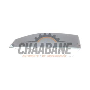 Vitre portiere 2portes gauche 43R001977 Audi R8 (4S3/4SP) 5.2 V10 Plus Quattro 2015