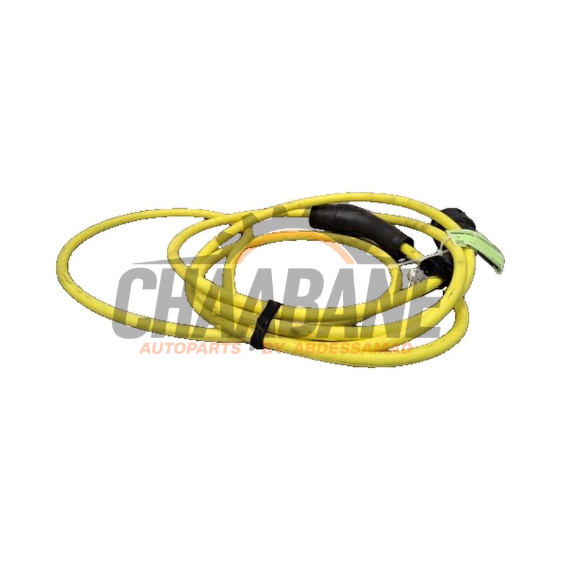 Cable de recharge electrique 1EA971639M Audi Q4 Sportback (4FN) 40 e-tron 2021