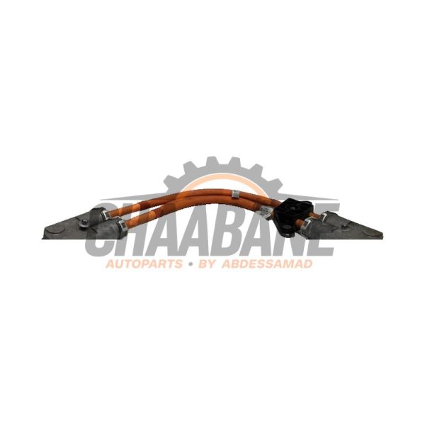 Cable haute tension 5A04BD2 BMW iX (I20) xDrive40 77 kWh 2021