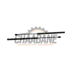 Amortisseur a gaz arriere gauche 5FF827550B Cupra Formentor 2020