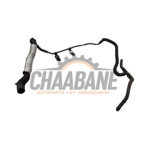 Conduit (divers) 8V0122061B Audi RS 3 Sportback (8YA) 2.5 TFSI 20V Quattro 2021