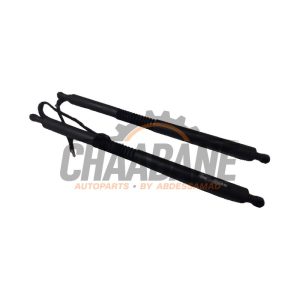 Verin de coffre 7298984 BMW 3 serie Gran Turismo (F34) 320d 2.0 16V 2012 / 2020