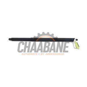 Amortisseur a gaz arriere gauche A2539801064 Mercedes GLC Coupe (C253) 3.0 43 AMG V6 Turbo 4-Matic
