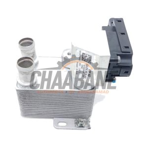 Echangeur de chaleur 1EA816114 Skoda Enyaq iV 85 2021
