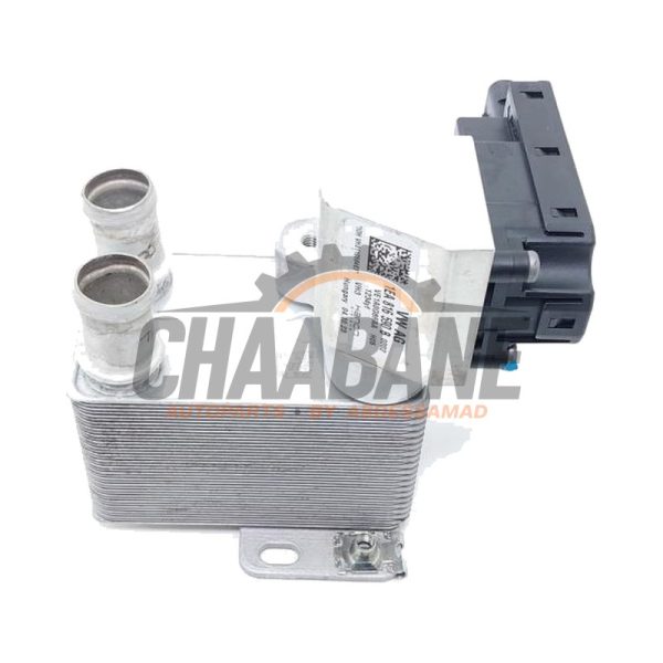Echangeur de chaleur 1EA816114 Skoda Enyaq iV 85 2021